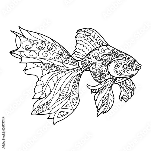 Gold fish coloring book for adults vector