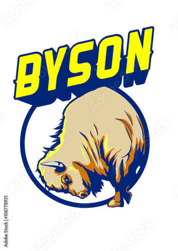 vector of bison mascot sports logo . Vector illustration