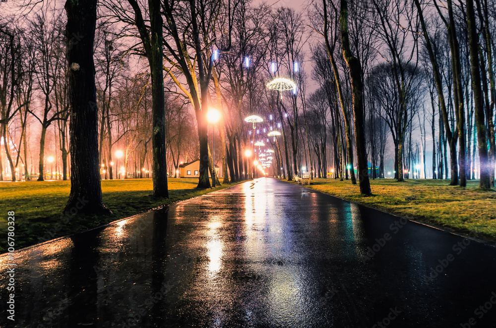 Park alley by night in Kharkiv