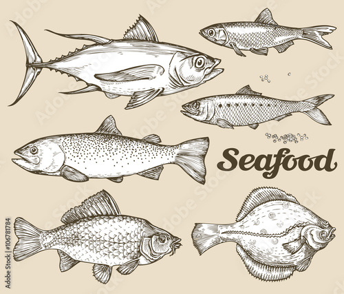 Seafood. Hand drawn sketch vector illustration of different fish