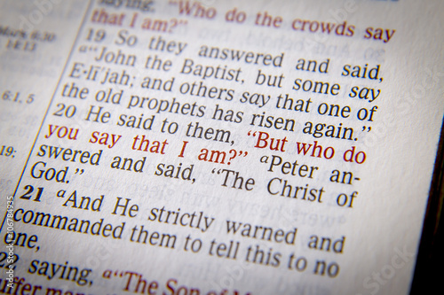 But who do you say that I am?