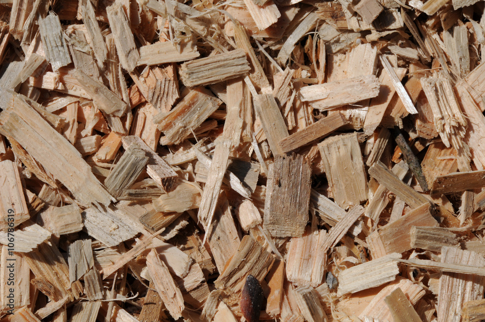 Fresh wooden chips covering the ground, closeup Fresh wooden chips covering the ground, closeup