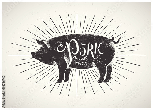 Graphic pig. Pork label. Vector illustration, drawn by hand.