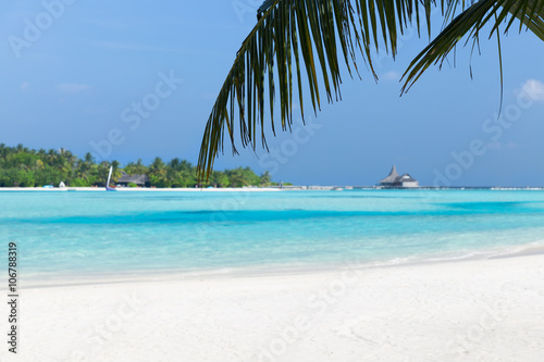 maldives island beach with palm tree and villa © Syda Productions