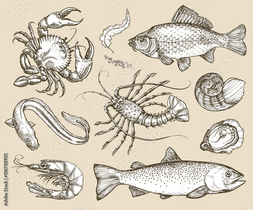 Hand drawn sketch set seafood. Vector illustration