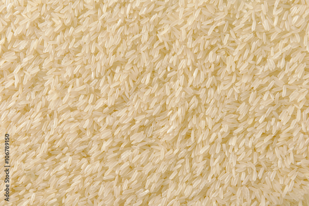 uncooked white jasmine rice