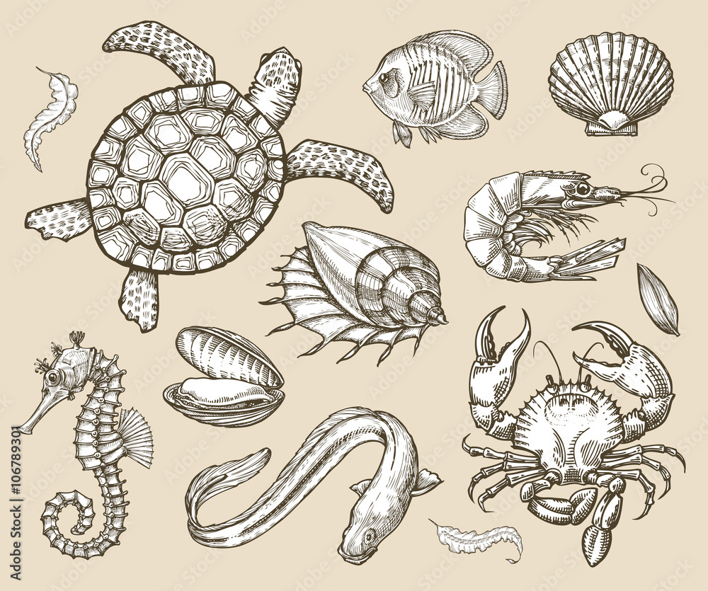 Hand drawn sketch set of seafood, sea animals. Vector illustration