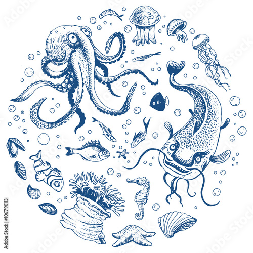 Sea life hand drawn set
