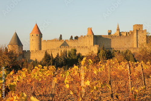 Cité de Carcassonne, vue des vignes