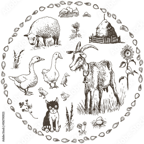 Set of hand drawn farm animals, vector illustration

