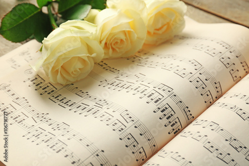 Beautiful rose on music she...