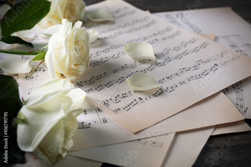 Beautiful rose on music sheets background