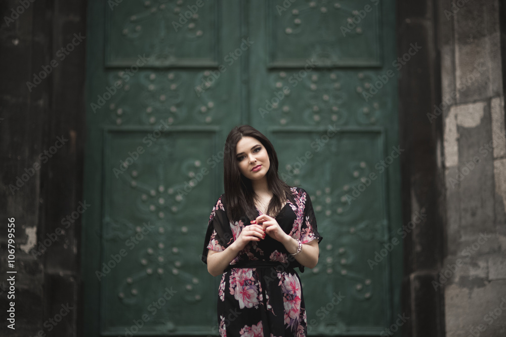 Fototapeta premium Beautiful brunette young woman posing on the street in old city