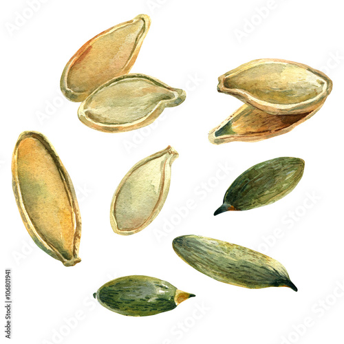 Watercolour illustration of a handful of pumpkin seeds, clipping paths included