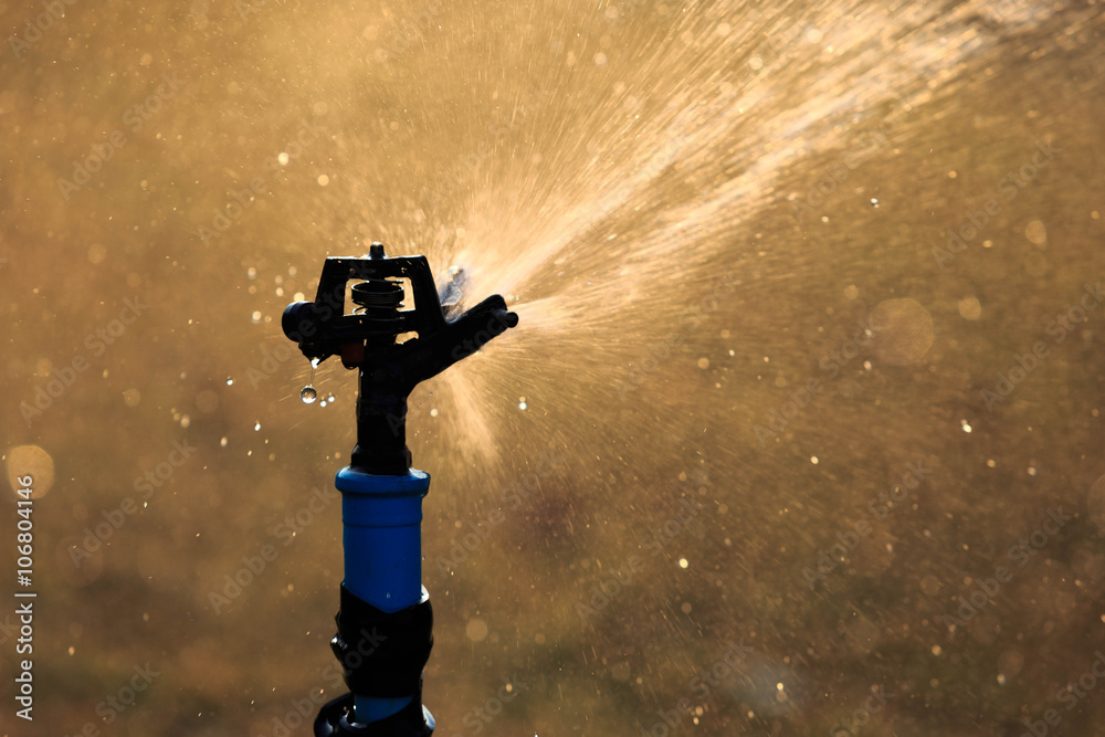 Fototapeta premium Sprinkler system for water splash