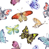 Watercolor seamless pattern with butterflies. Vector background with butterflies on a white background.