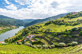 Landscape of the Douro river regionin Portugal - Vineyards