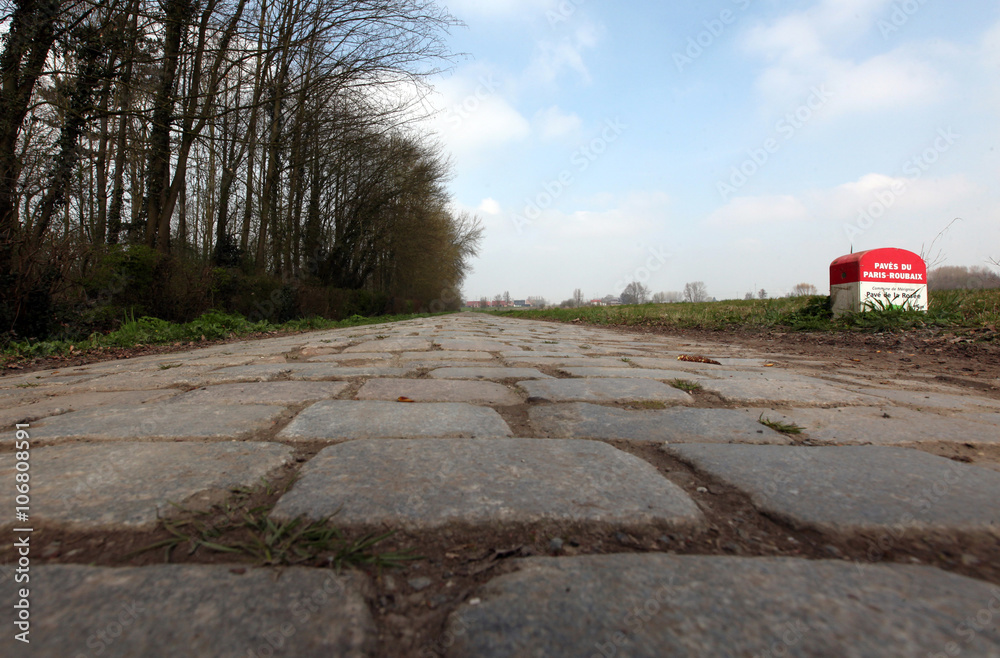 Fototapeta premium Pavés de Paris - Roubaix