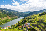 Landscape of the Douro river regionin Portugal - Vineyards