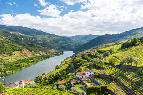 Landscape of the Douro river regionin Portugal -  Vineyards photo