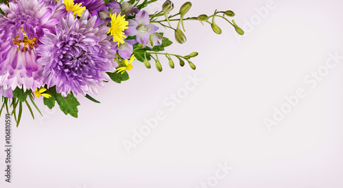 Purple and yellow flowers c...