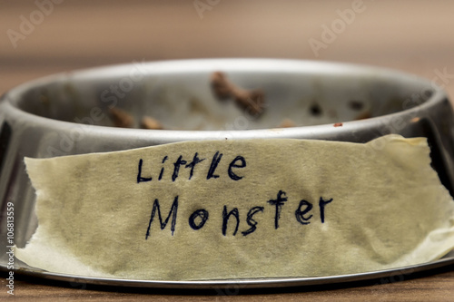 Empty Metal Pet Food Dish with Funny Name Label