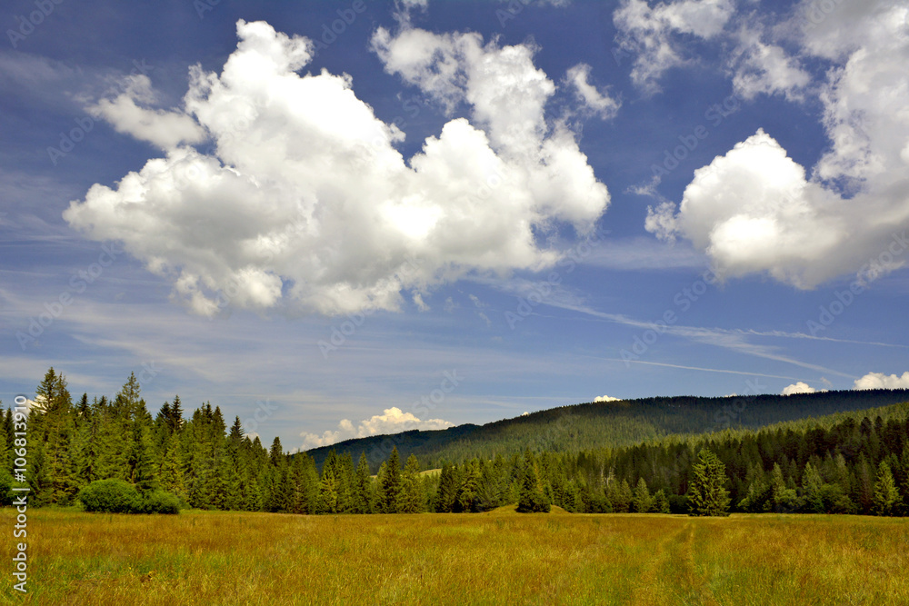 Fototapeta premium W dolinie Juraniowej