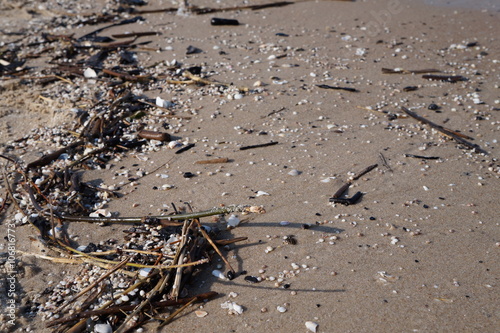 Obraz na płótnie Plaża w Stegnie w salonie