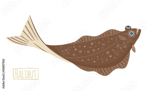 Halibut illustration, cartoon