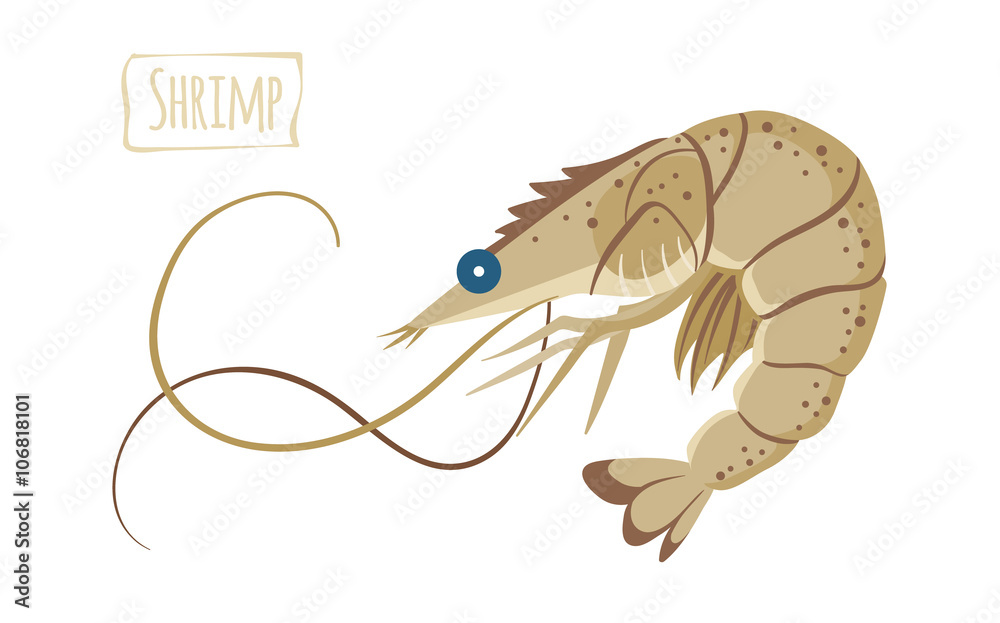 Obraz premium Shrimp, vector cartoon illustration