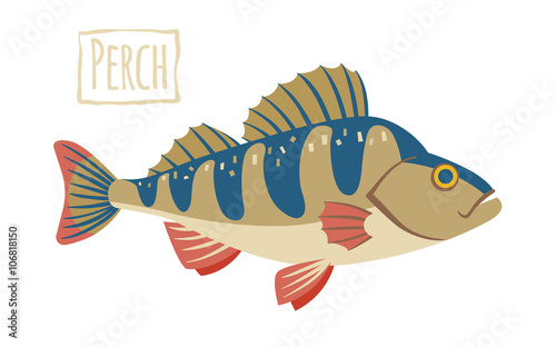 Perch, vector cartoon illustration