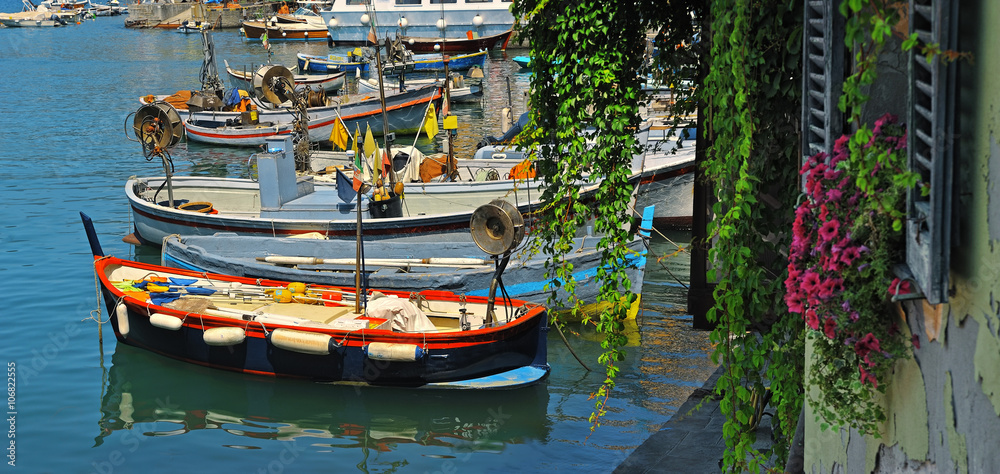 Fishing boats in the port of Camogli