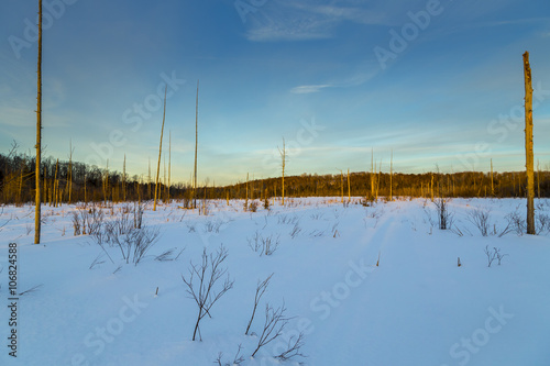 Rural Winter Landscape View