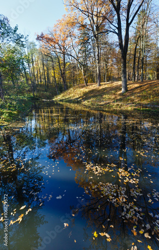 Fototapeta Naklejka Na Ścianę i Meble -  Pond in the city autumn park.
