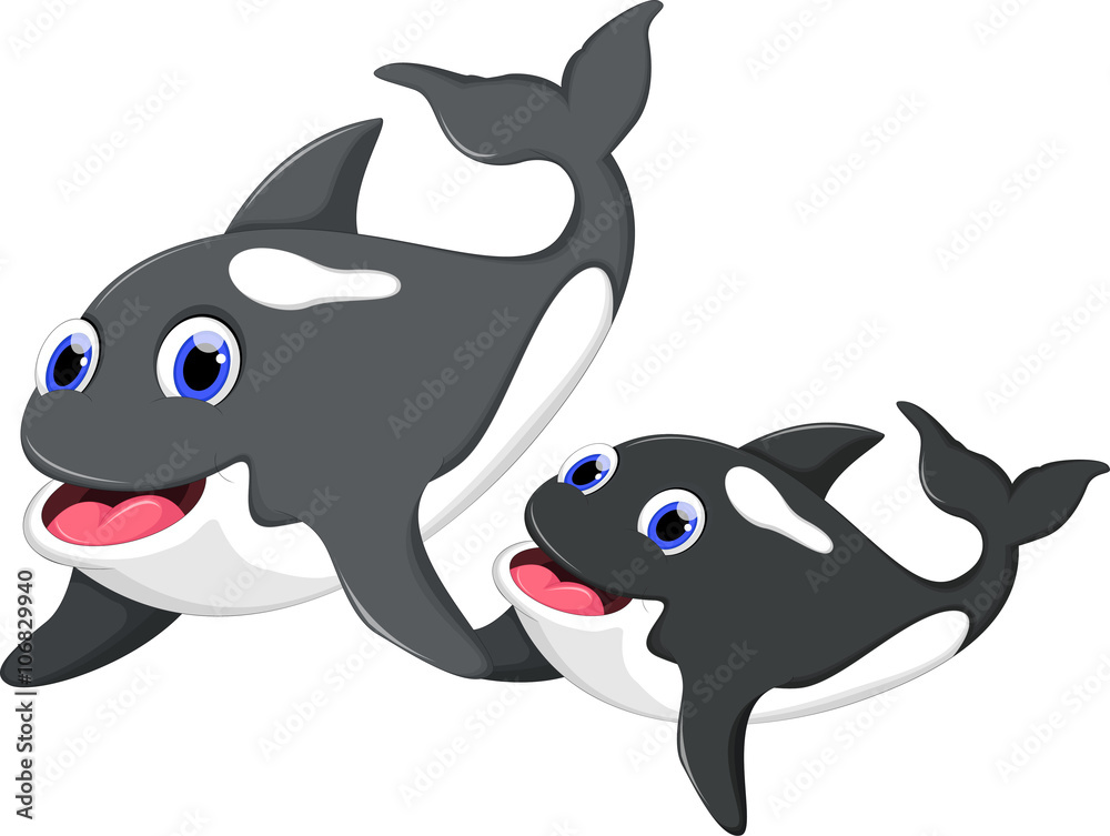 Obraz premium Killer whale and her son