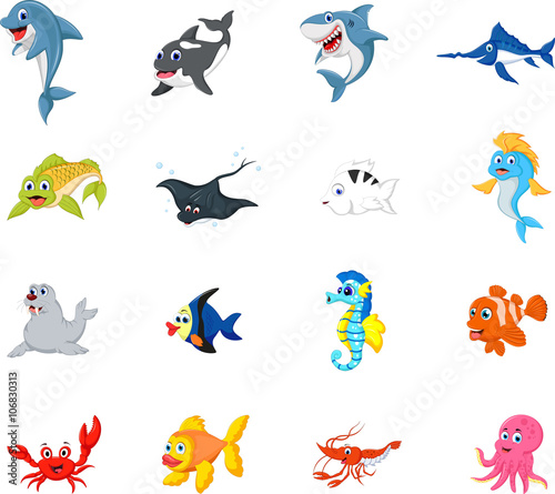 sea life cartoon collection