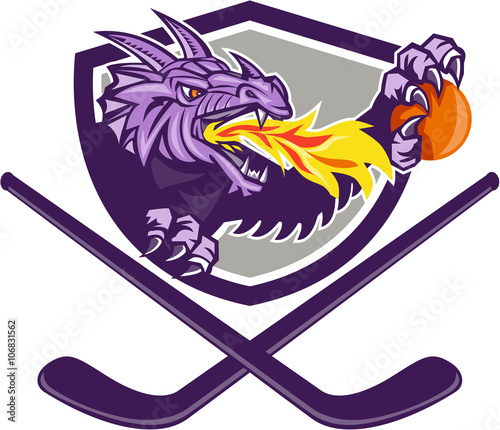 Dragon Fire Ball Hockey Stick Crest Retro