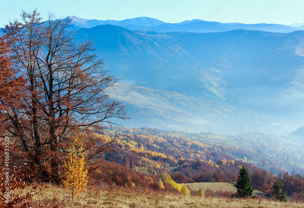 Golden autumn in mountain.