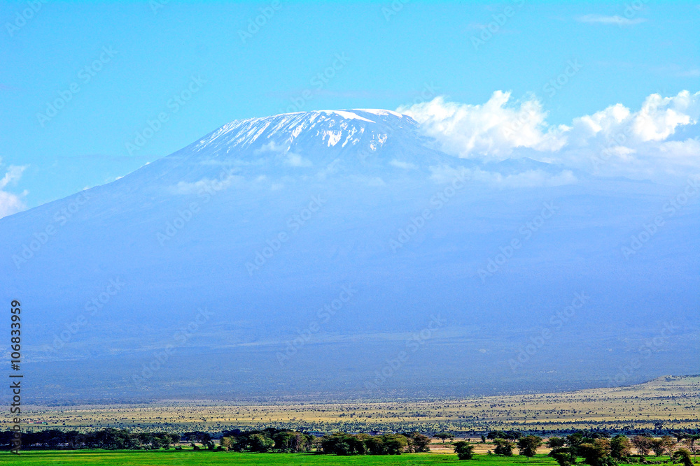 Naklejka premium Kilimanjaro, Amboseli National Park, Kenya