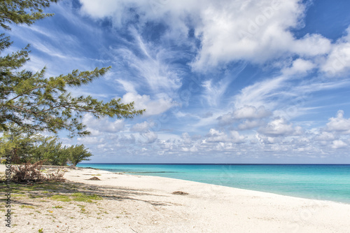 tropical Caribbean sandy beach © Dan Kosmayer