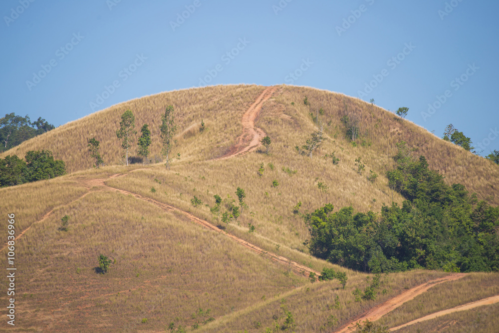 Bald mountain or grass mountain in Ranong province