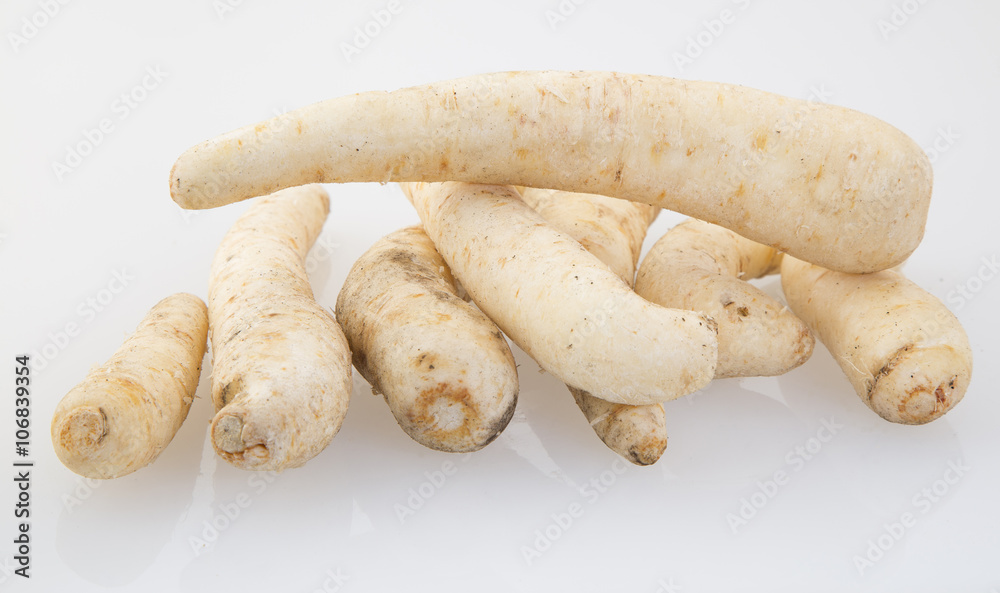 Arracacha - Arracacia xanthorrhiza Arracacha - Arracacia xanthorrhiza