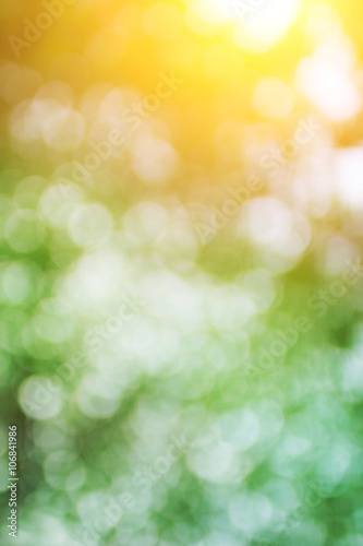 Bokeh blurred background nature