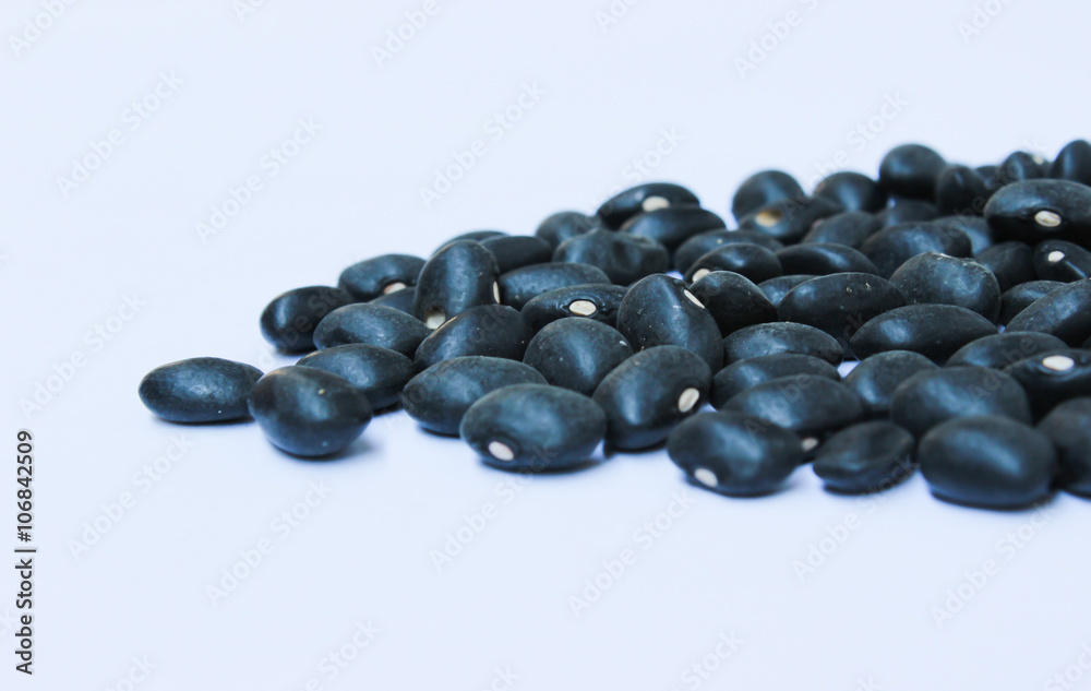 Black Bean isolated on the White Background Black Bean isolated on the White Background