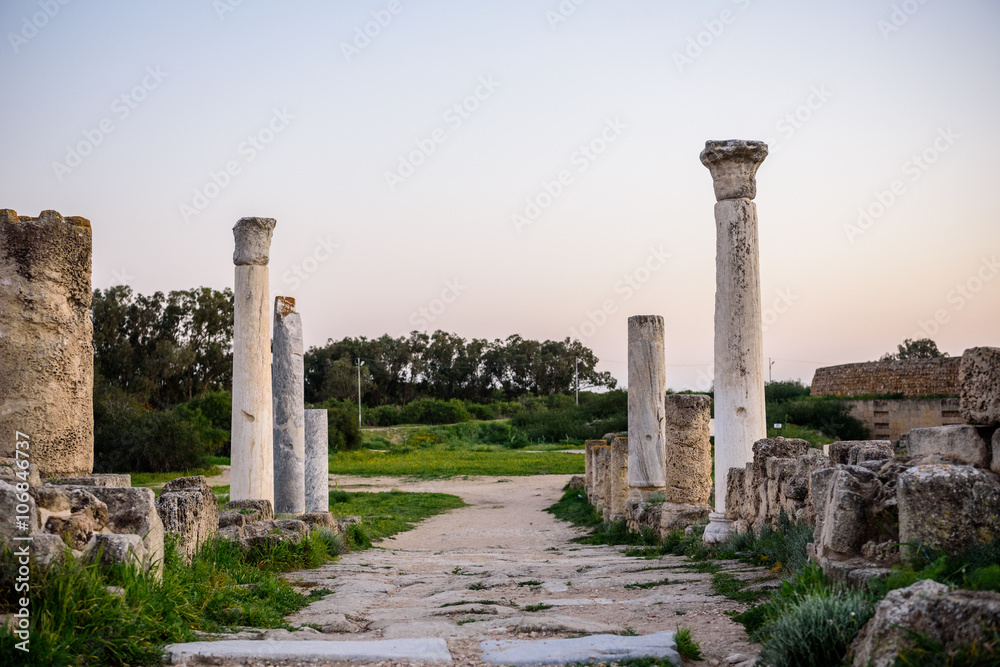 Ancient city of Salamis located in Cyprus.