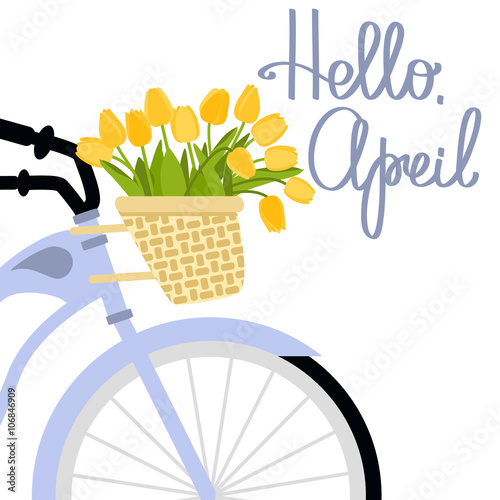 Vector illustration with bicycle and tulips