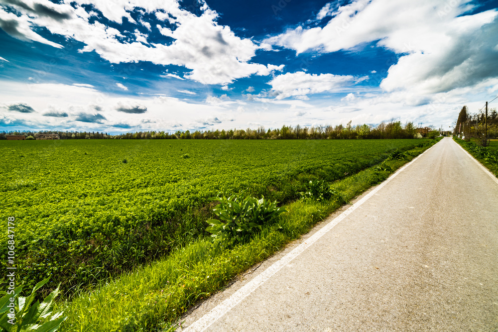 Naklejka premium country road running through green fields