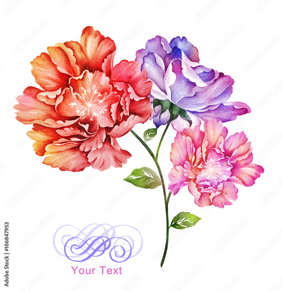 watercolor illustration flowers in simple background watercolor illustration flowers in simple background
