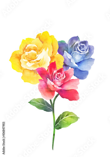 watercolor illustration flowers in simple background