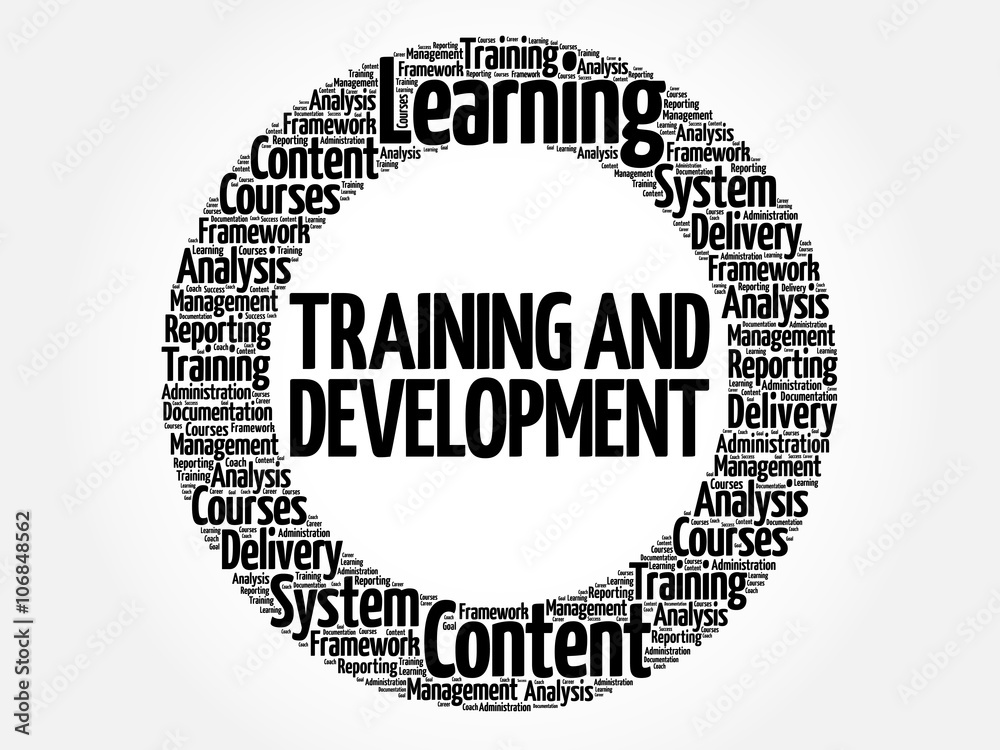 Training and Development circle word cloud, business concept